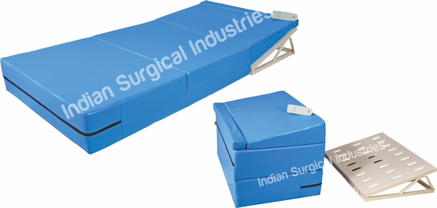 Motorized Backrest/Recliner Bed